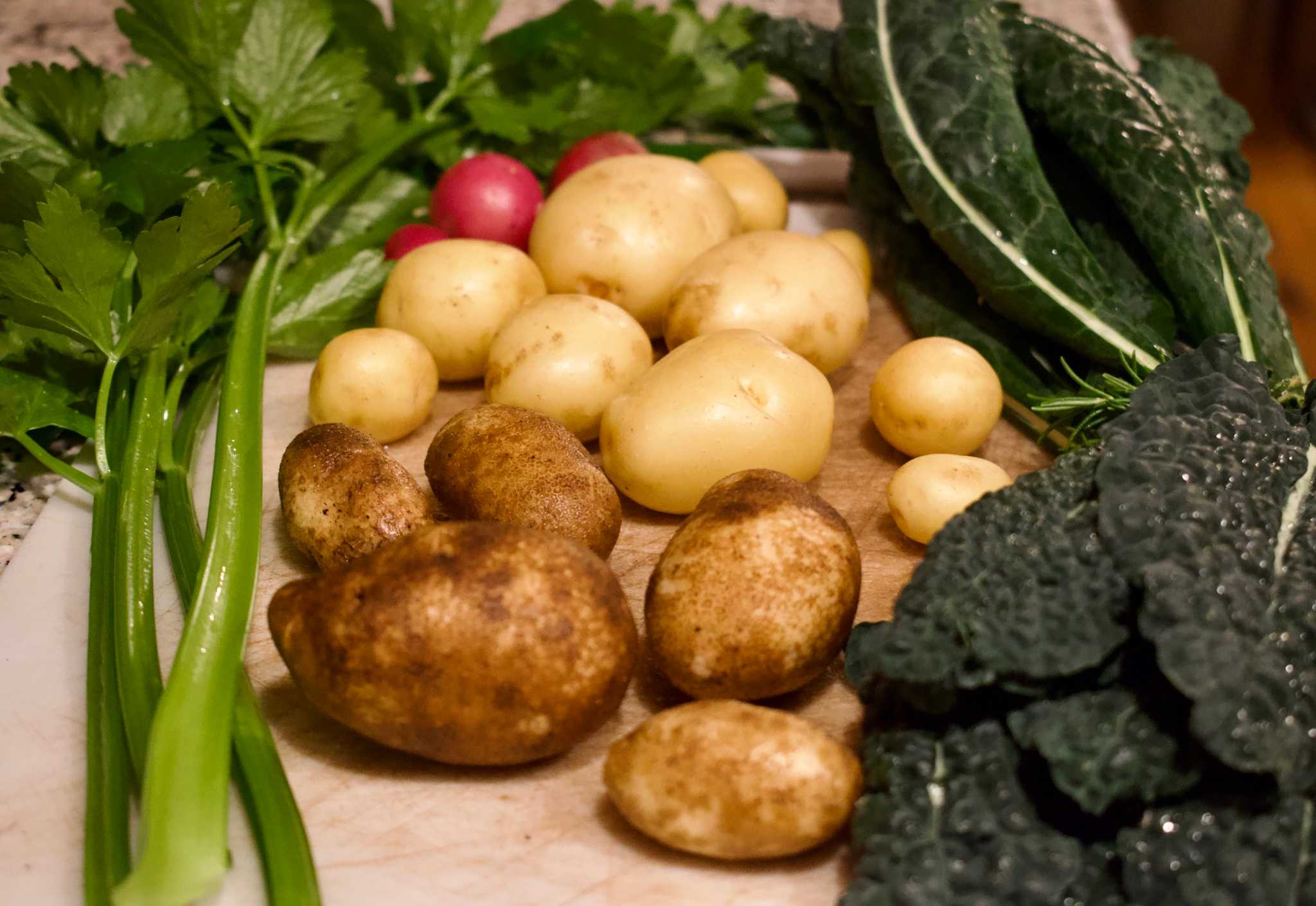 Freshly harvested vegetables including potatoes, kale, celery, and radishes